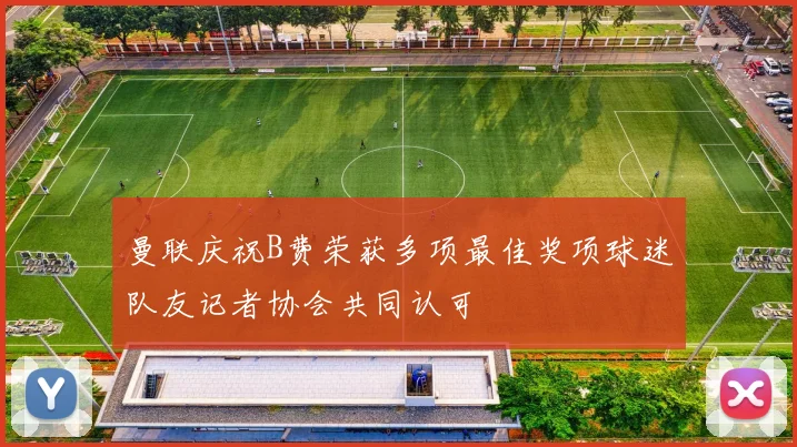 曼联庆祝B费荣获多项最佳奖项球迷队友记者协会共同认可