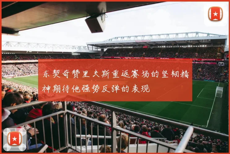 东契奇赞里夫斯重返赛场的坚韧精神期待他强势反弹的表现