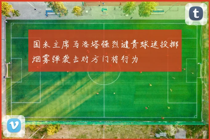 国米主席马洛塔强烈谴责球迷投掷烟雾弹袭击对方门将行为